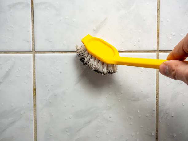 Best Commercial Mold Remediation in Baldwin, NY