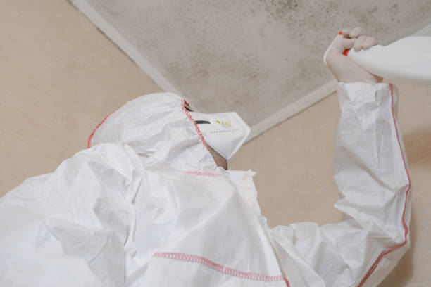 Best HVAC Mold Remediation in Baldwin, NY