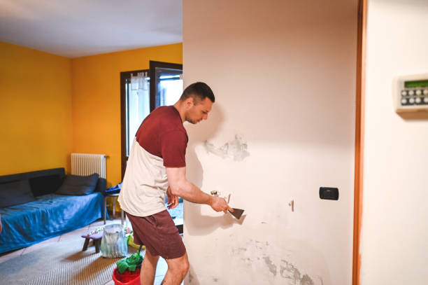 Best DIY Mold Remediation Support Services in Baldwin, NY