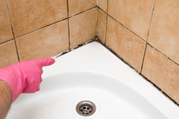 Best Residential Mold Remediation in Baldwin, NY